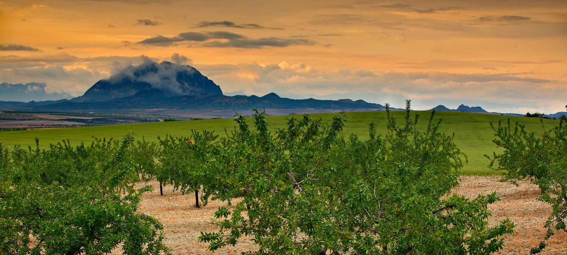 View of El Almorchón. Cieza. Murcia.