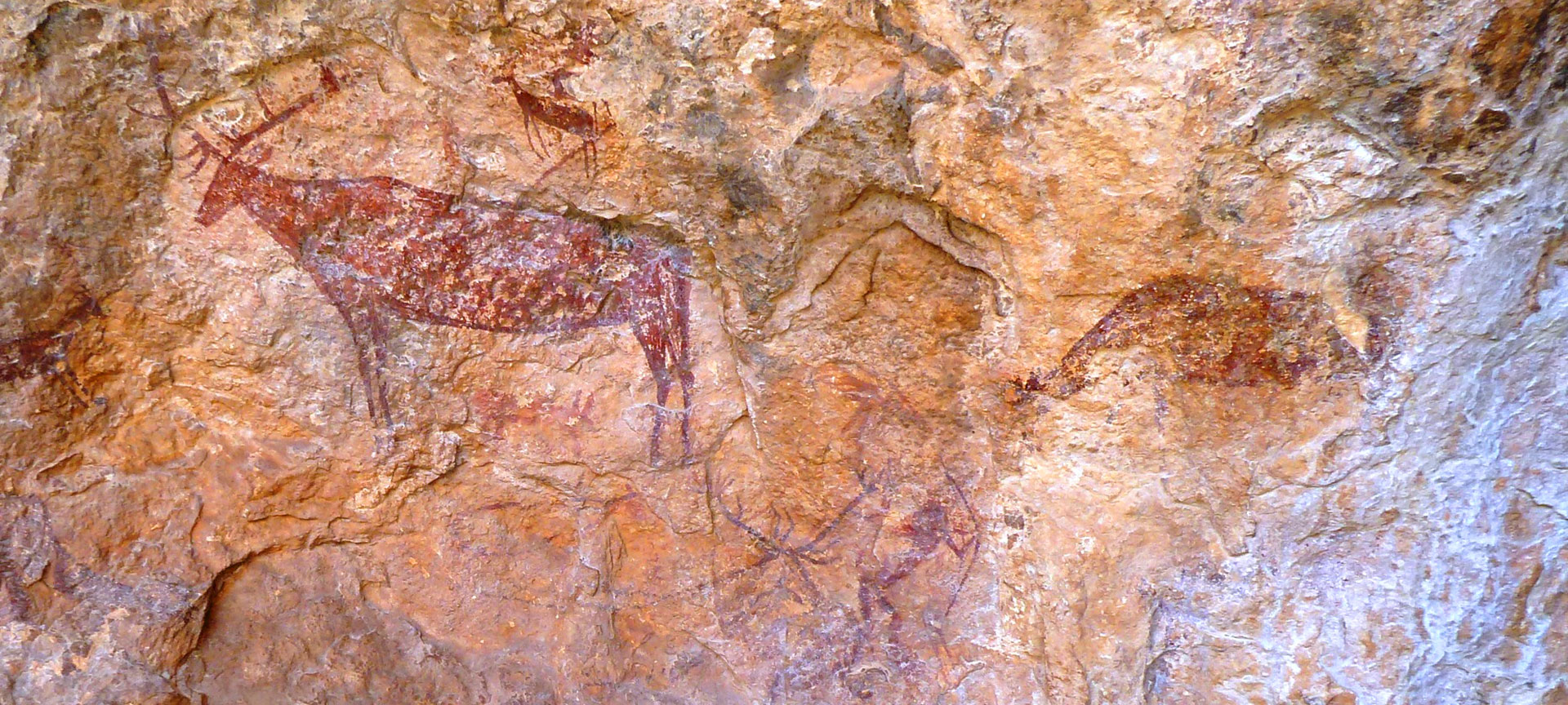 Cañaíca del Calar. Murcja