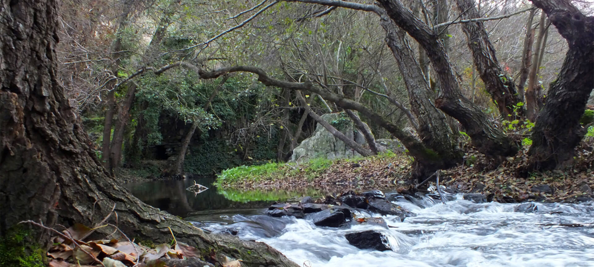 Réserve de biosphère transfrontalière du Tage. Rivière Sever