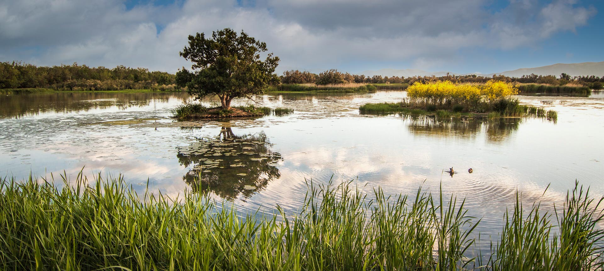 Aiguamolls de l'Empordà Natural Park