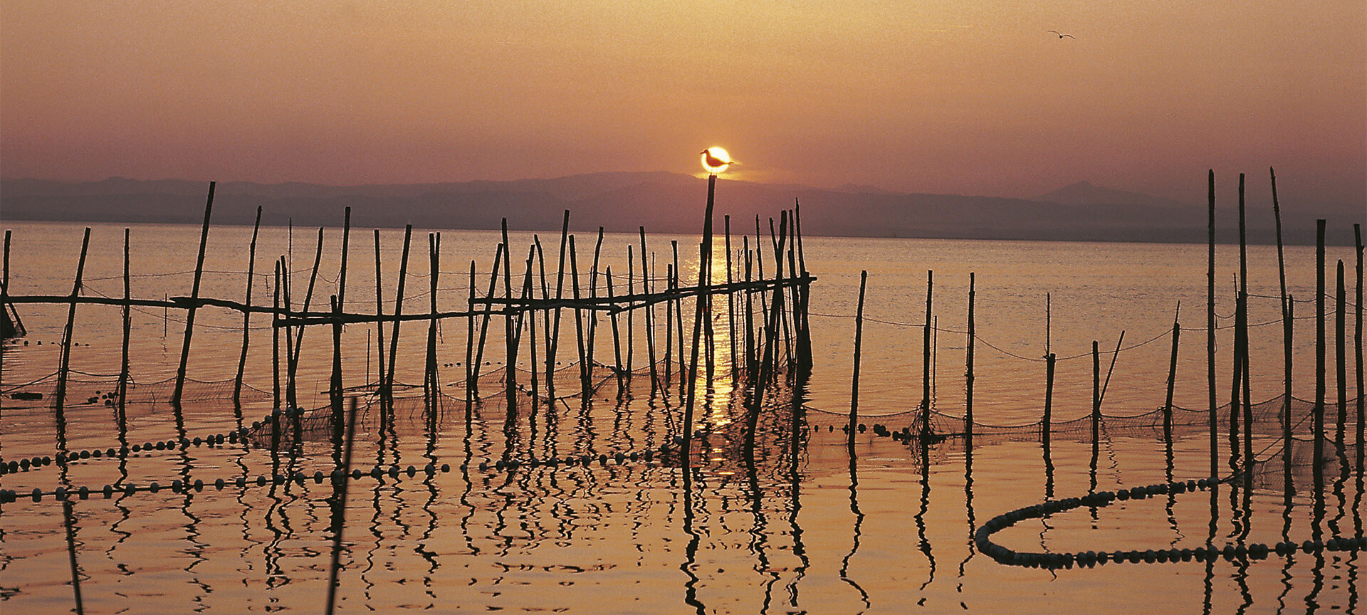 L’Albufera (Valencia)