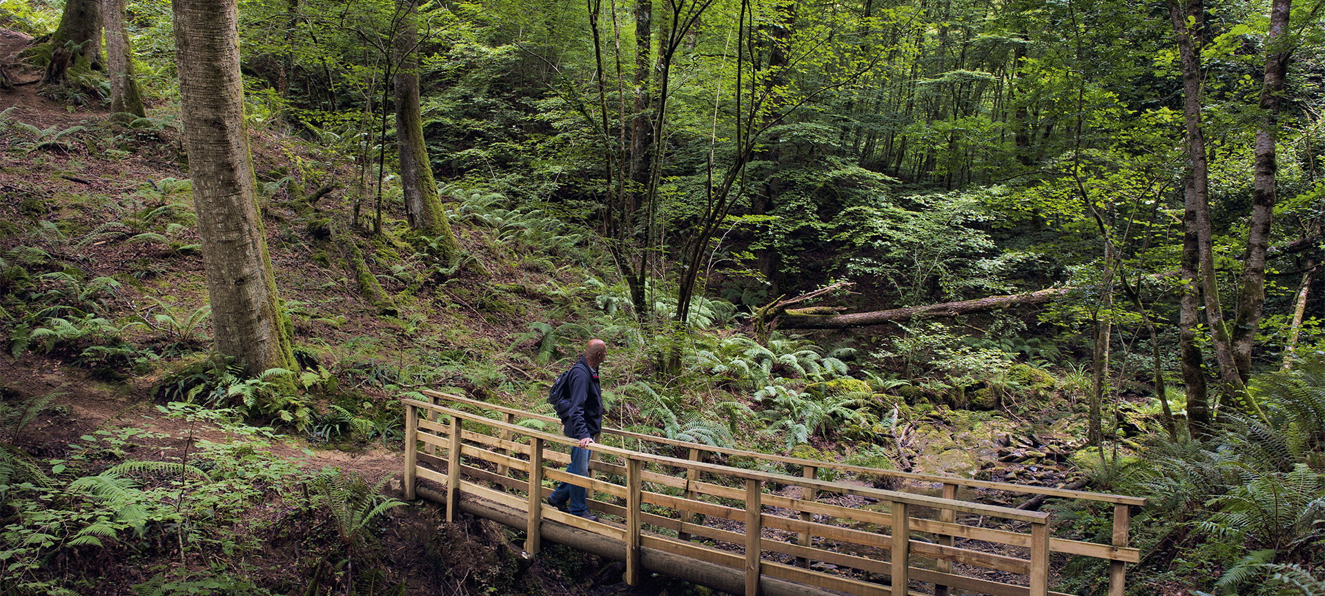 Parco Naturale del Señorio de Bértiz