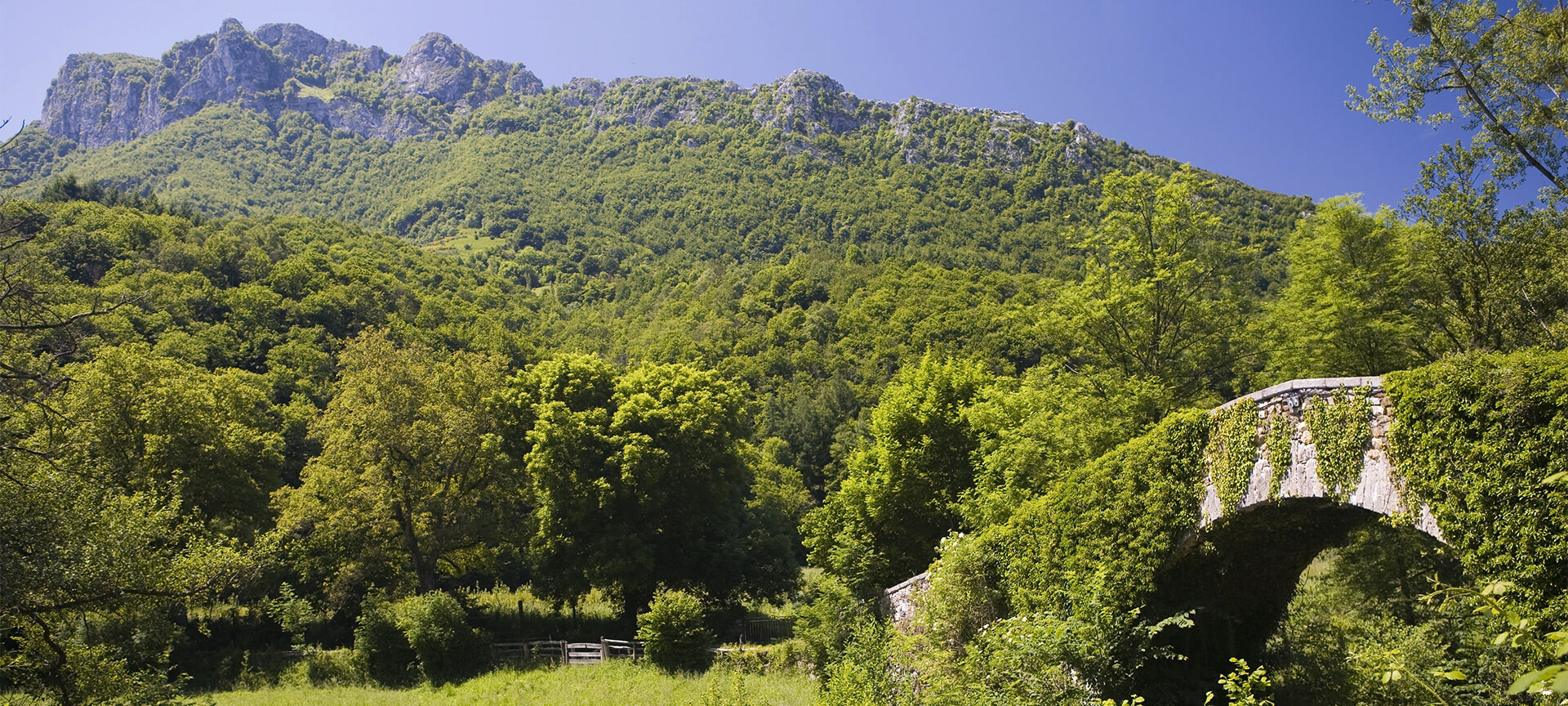 Redes Nature Reserve
