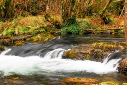 Rezerwat Biosfery Río Eo, Osco i Terras de Burón (Asturii)