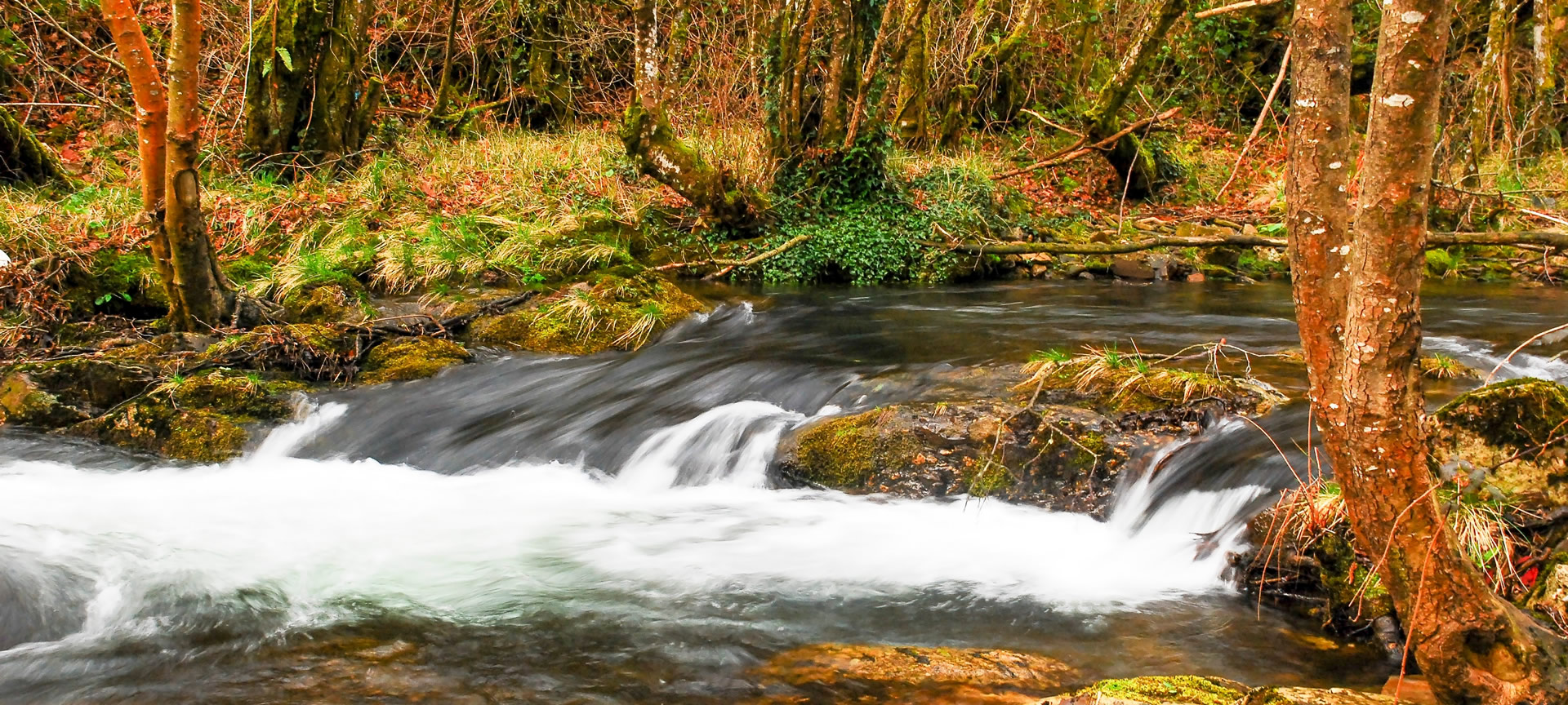 Reserva da Biosfera Rio Eo, Osco e Terras de Burón (Astúrias) Reserva da Biosfera Rio Eo, Osco e Terras de Burón (Astúrias)