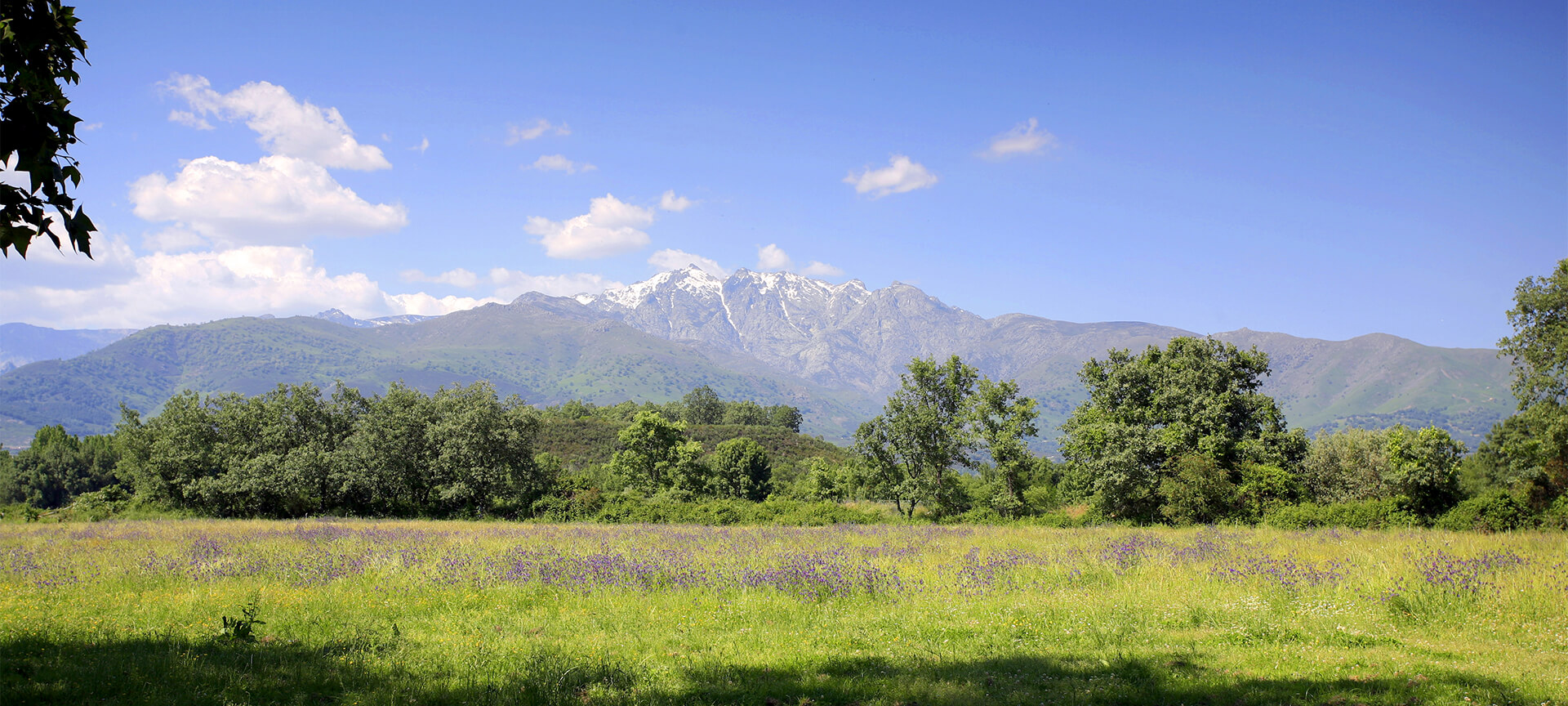  Sierra de Gredos, Iruelas, Ávila
