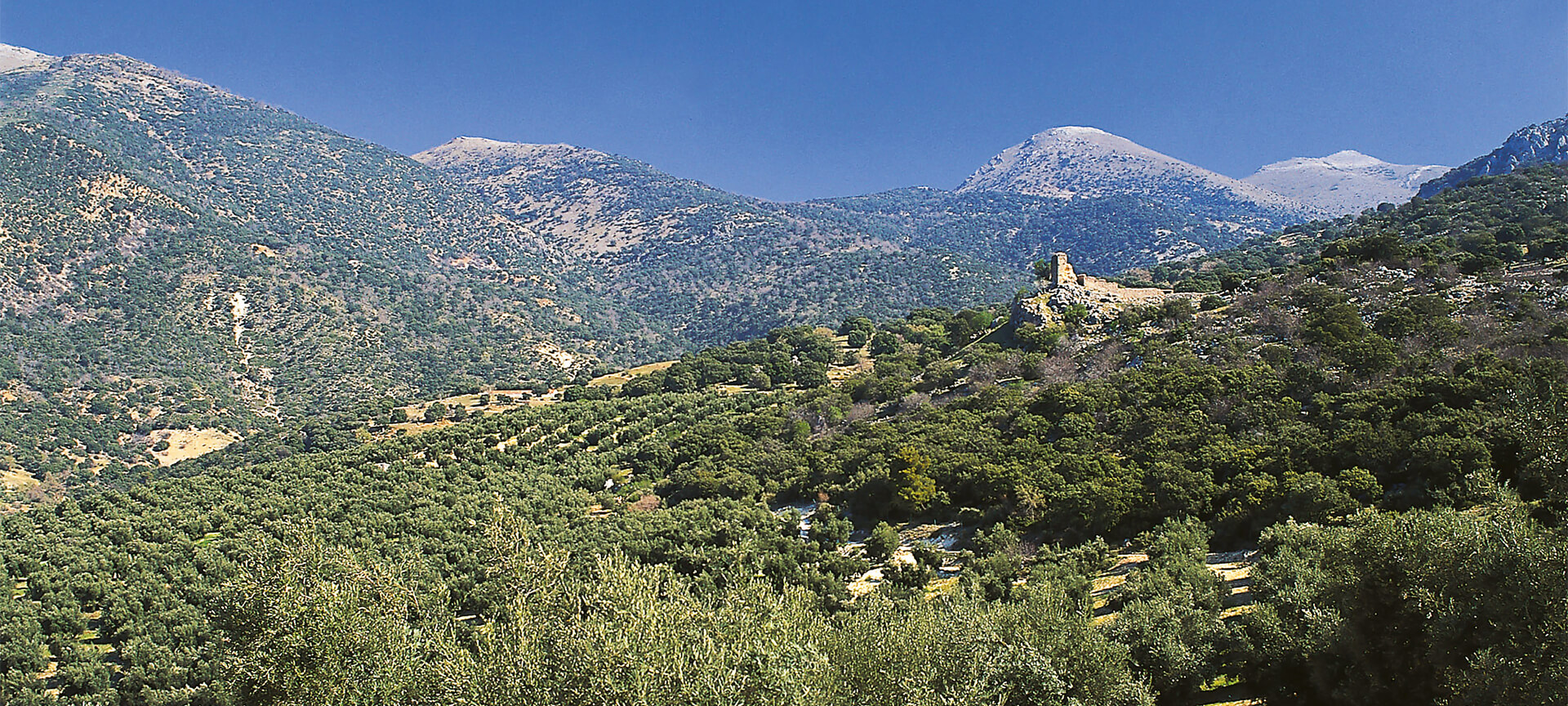  Sierra Maginá, province de Jaén
