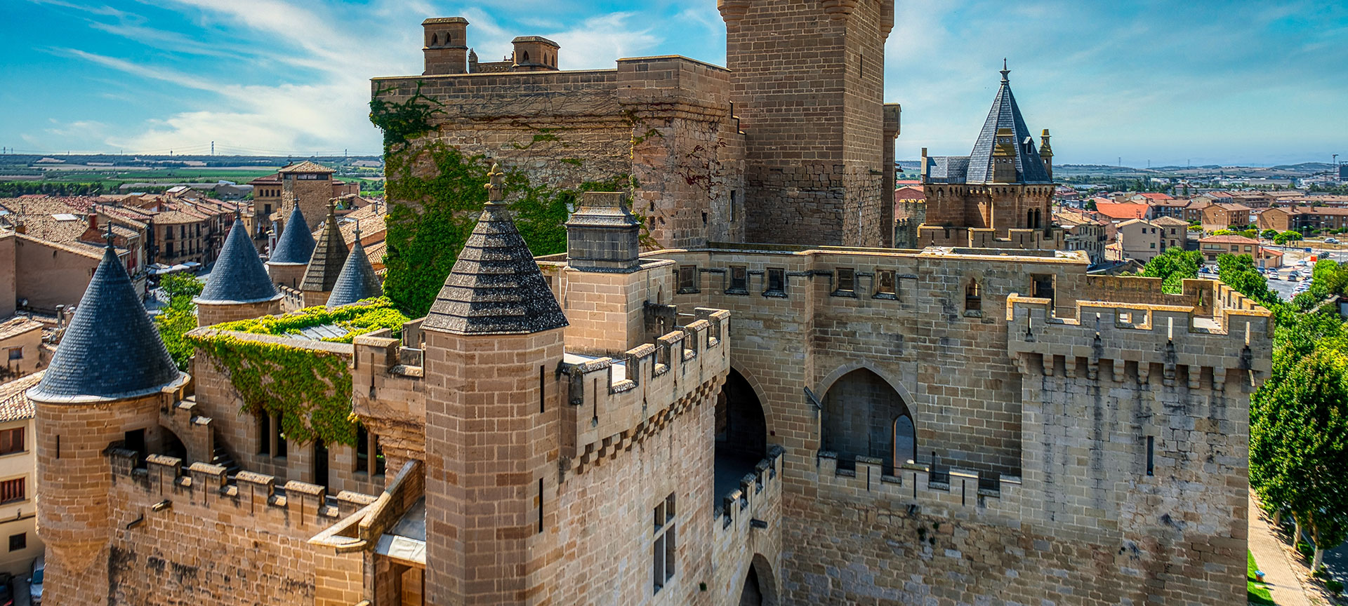 View of the Castle-palace of Olite