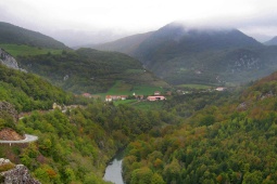 Forêt d'Irati. Navarre