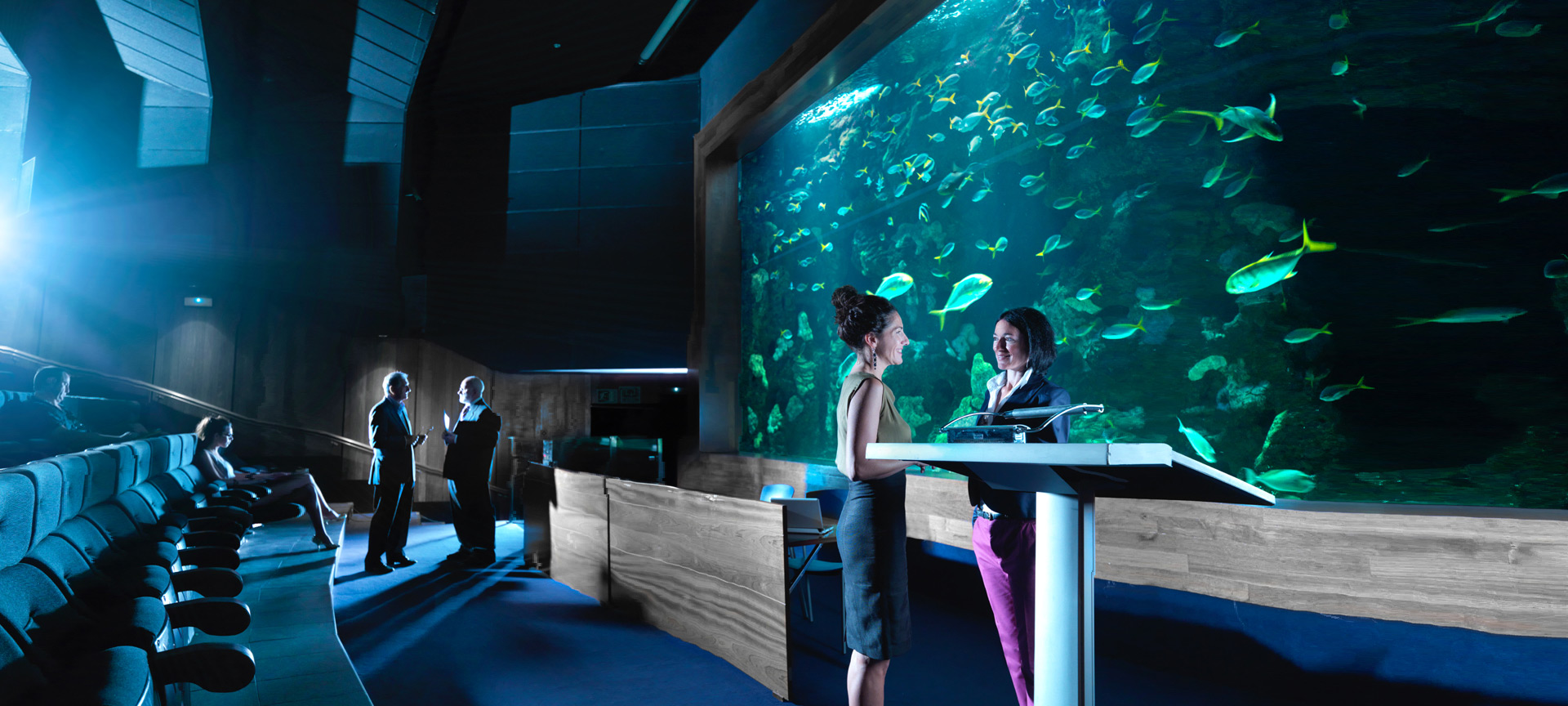 サン・セバスティアンのAuditorio Aquariumでのイベント サン・セバスティアンのAuditorio Aquariumでのイベント