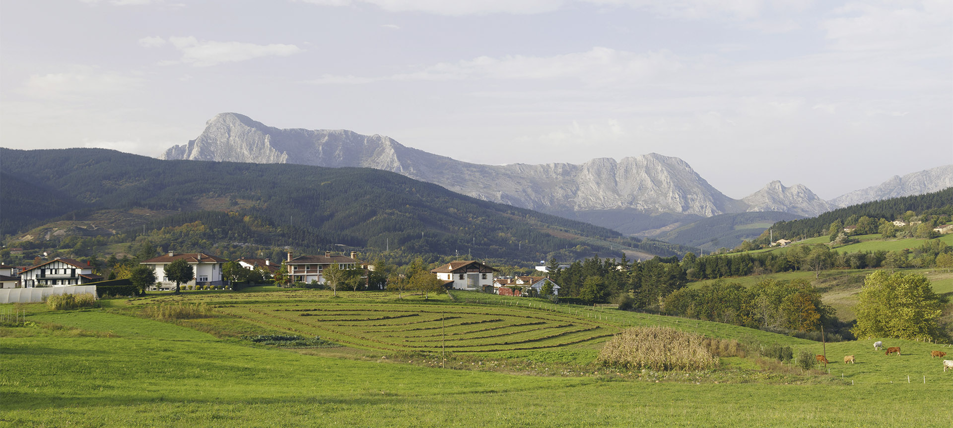 Panorama Elorrio (Bizkaia, Kraj Basków)