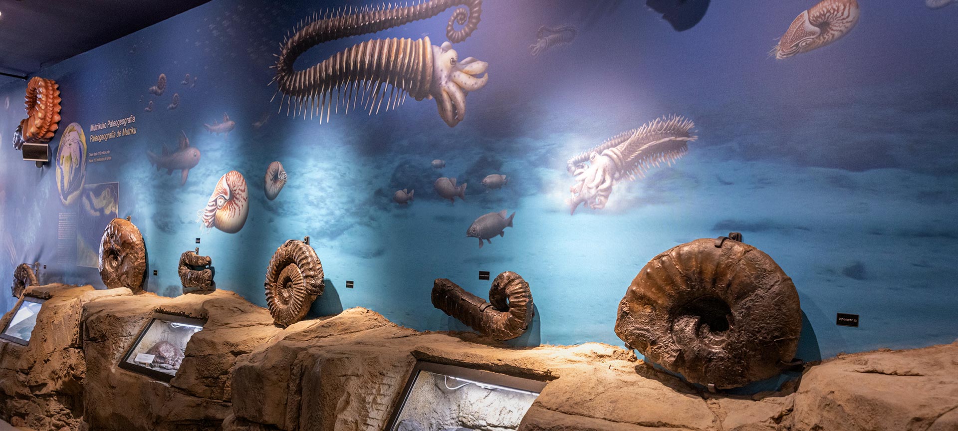 Nautilius Museum in Mutriku, Gipuzkoa, the Basque Country Nautilius Museum in Mutriku, Gipuzkoa, the Basque Country