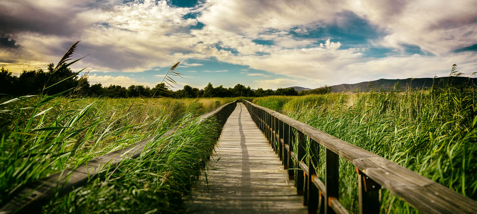 Tablas de Daimiel National Park