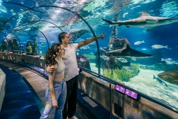 L'Aquarium de Barcelone