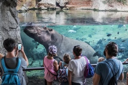 Bioparc Valencia