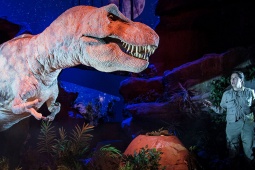 Новое T-Rex Show