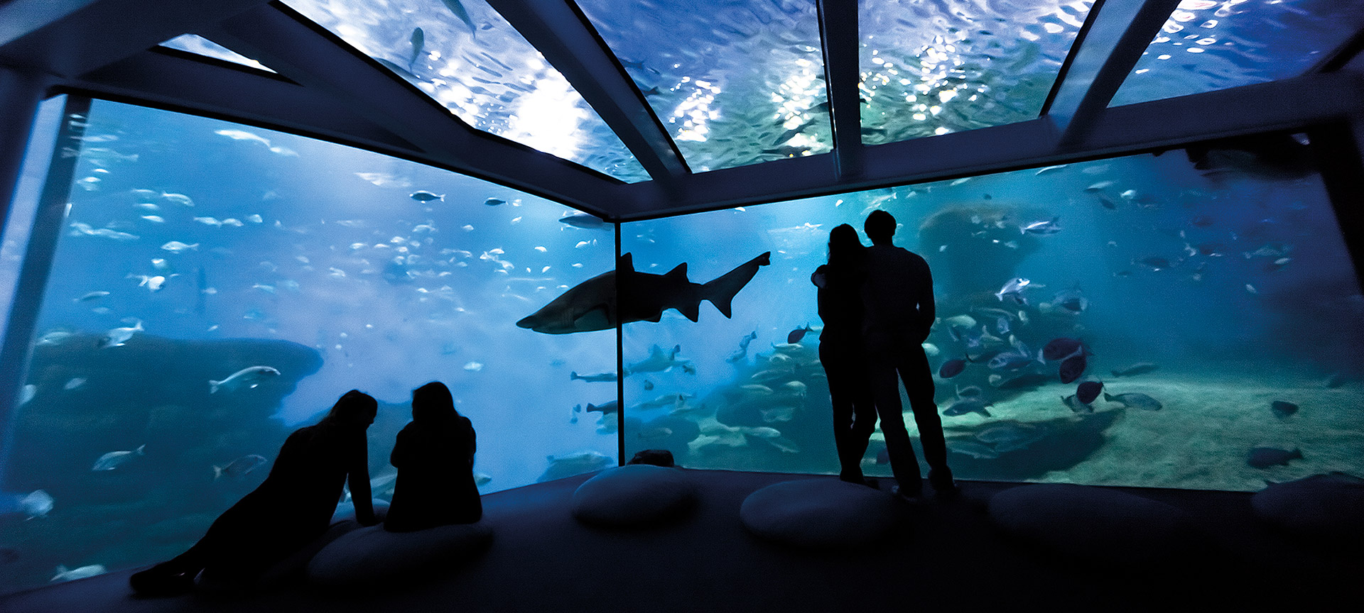 Palma Aquarium