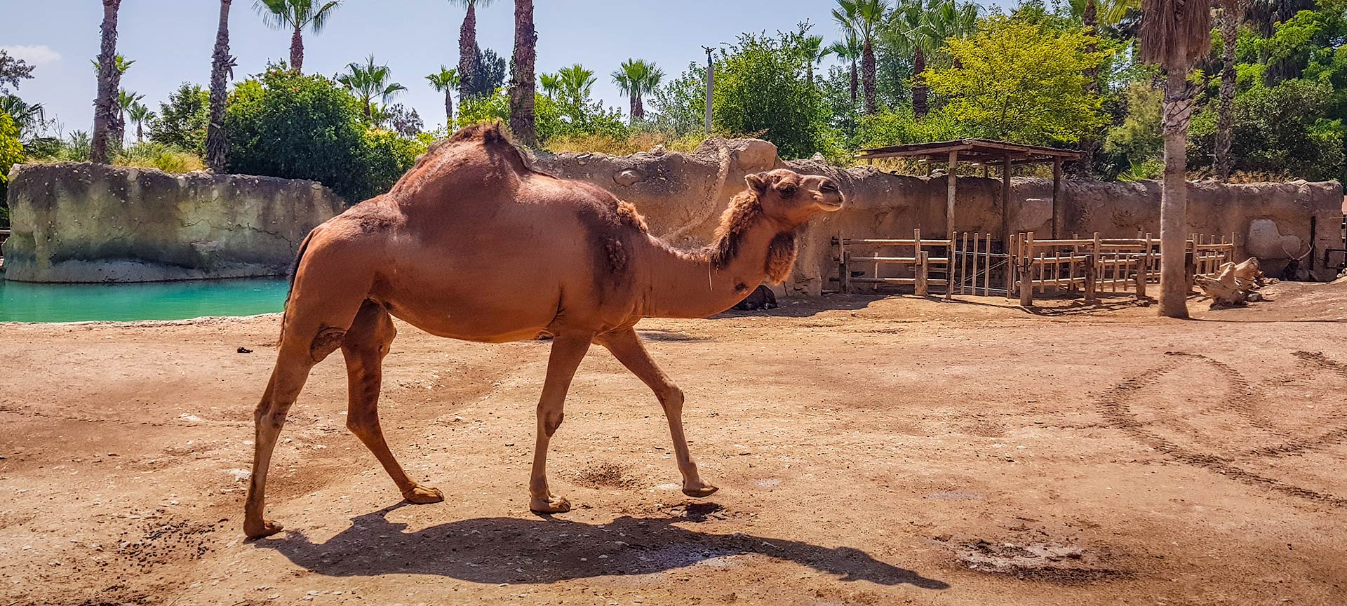 Terra Natura Benidorm