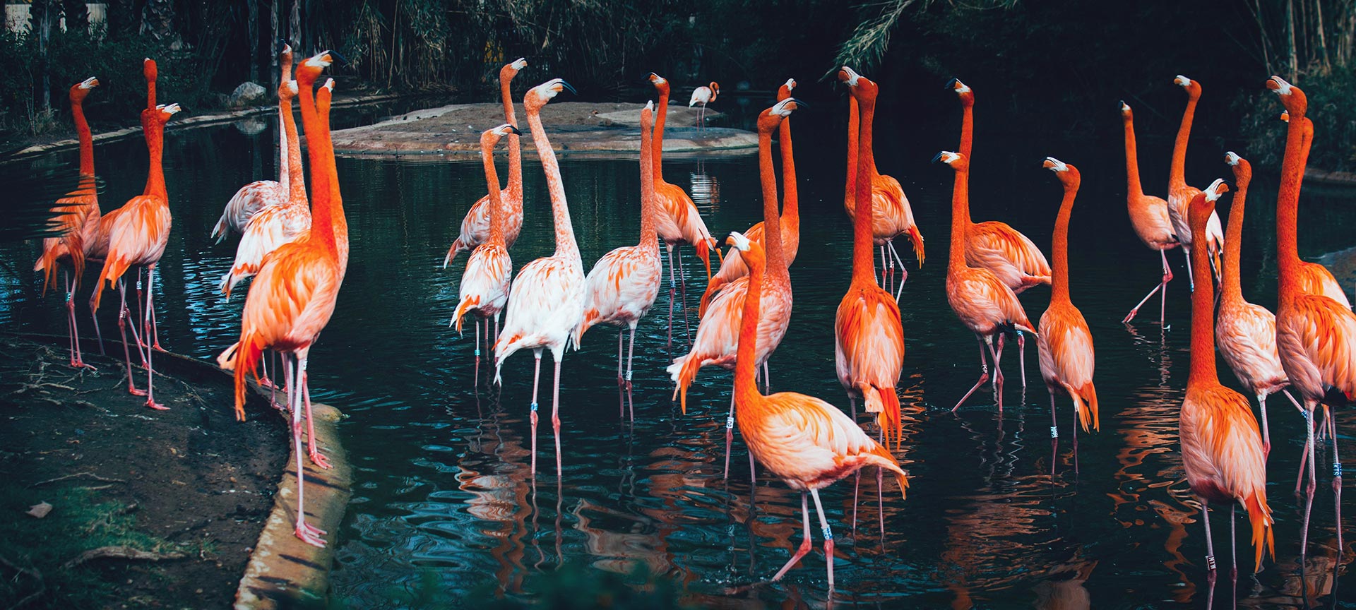 Zoo de Barcelona