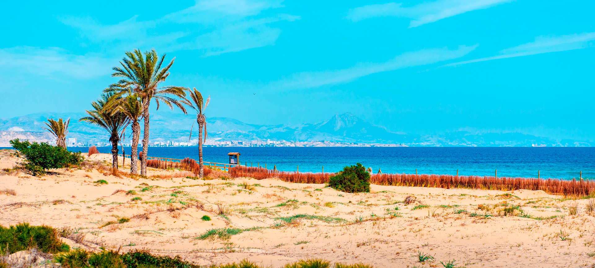 Plaża Los Arenales del Sol w Elche w Alicante, Wspólnota Walencji