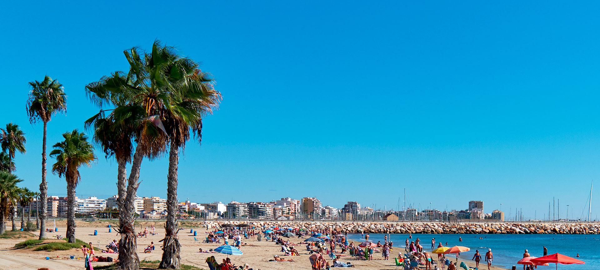 Plaża Los Náufragos w Torrevieja, prowincja Alicante
