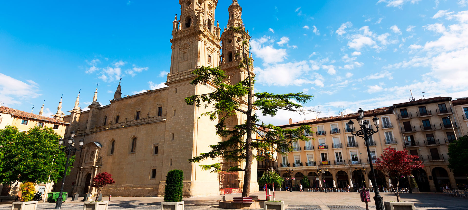 Concatedral de Santa Mª de La Redonda. Logroño