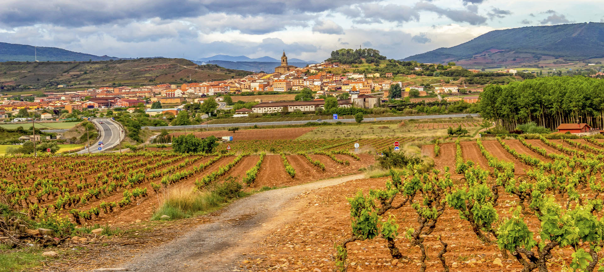 Panorámica de Navarrete frente a viñedos en La Rioja