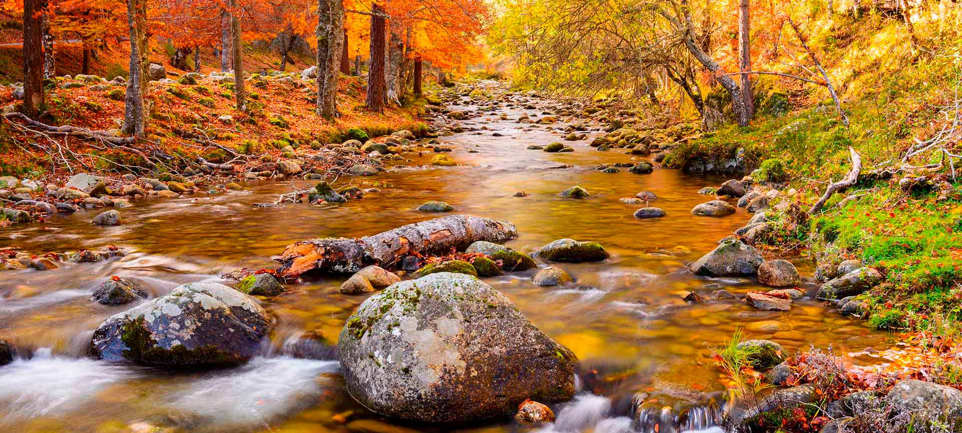 Parco naturale della Sierra Cebollera, La Rioja