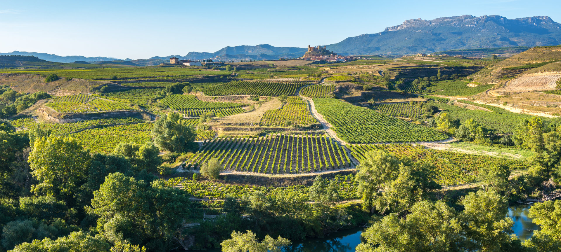 Veduta dei vigneti di San Vicente de la Sonsierra, La Rioja