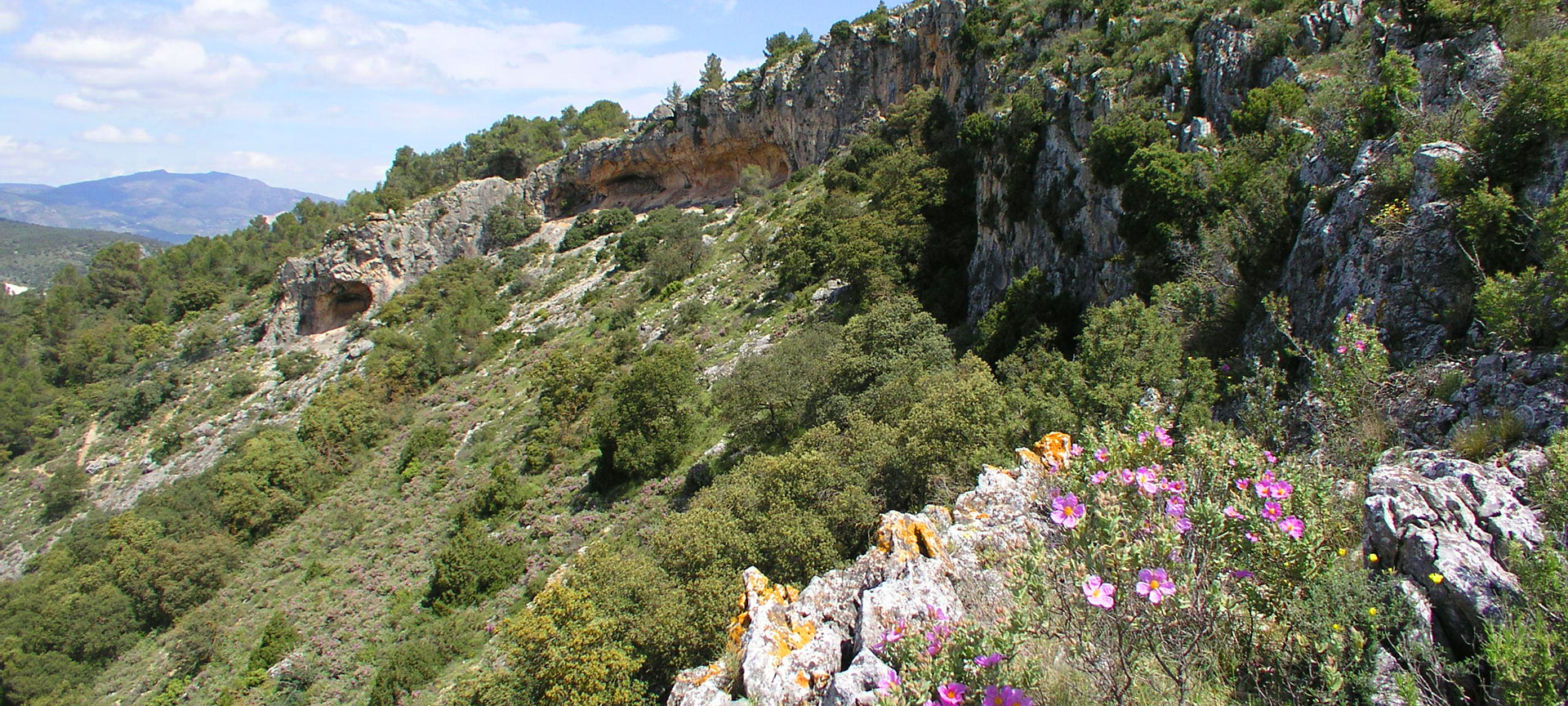 Widok na La Sarga (Abrics II). Alicante.