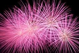 Pokazy sztucznych ogni. Fiesta Nit de l’Albà w Elche, Alicante