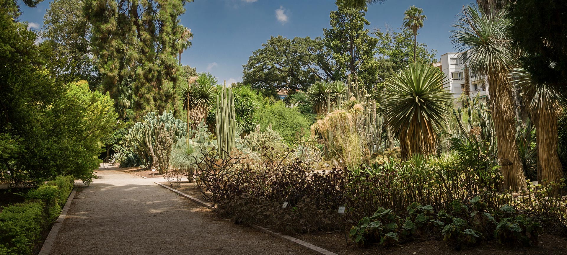 Valencia University Botanical Garden