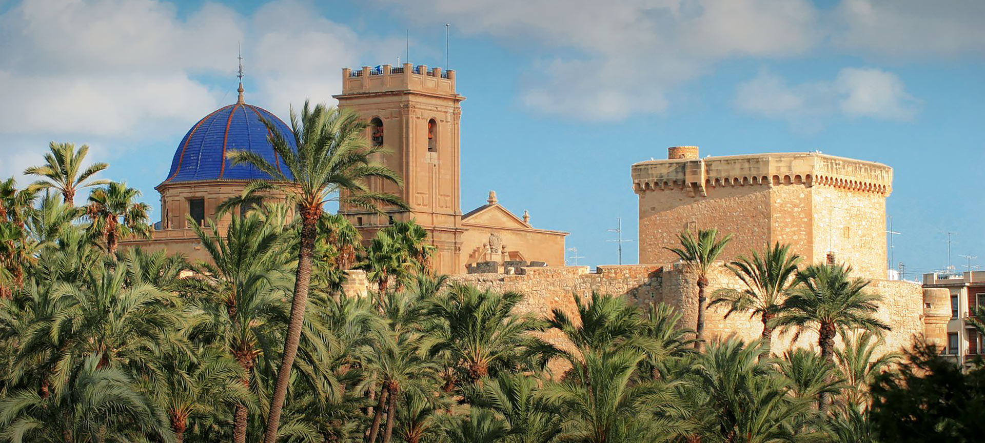 View of the palm grove in Elche with the Basilica de Santa María in the background. Alicante