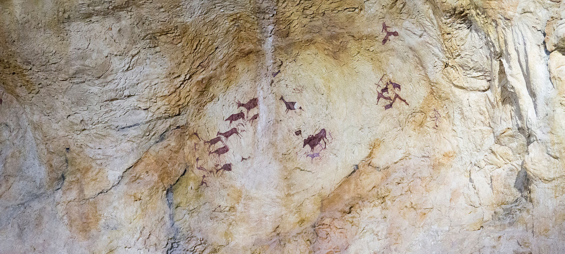 ティリグ考古学博物館の絵画