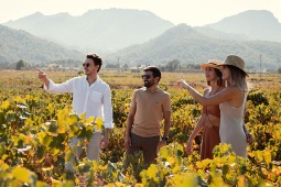 Itinerario enoturistico di Alicante