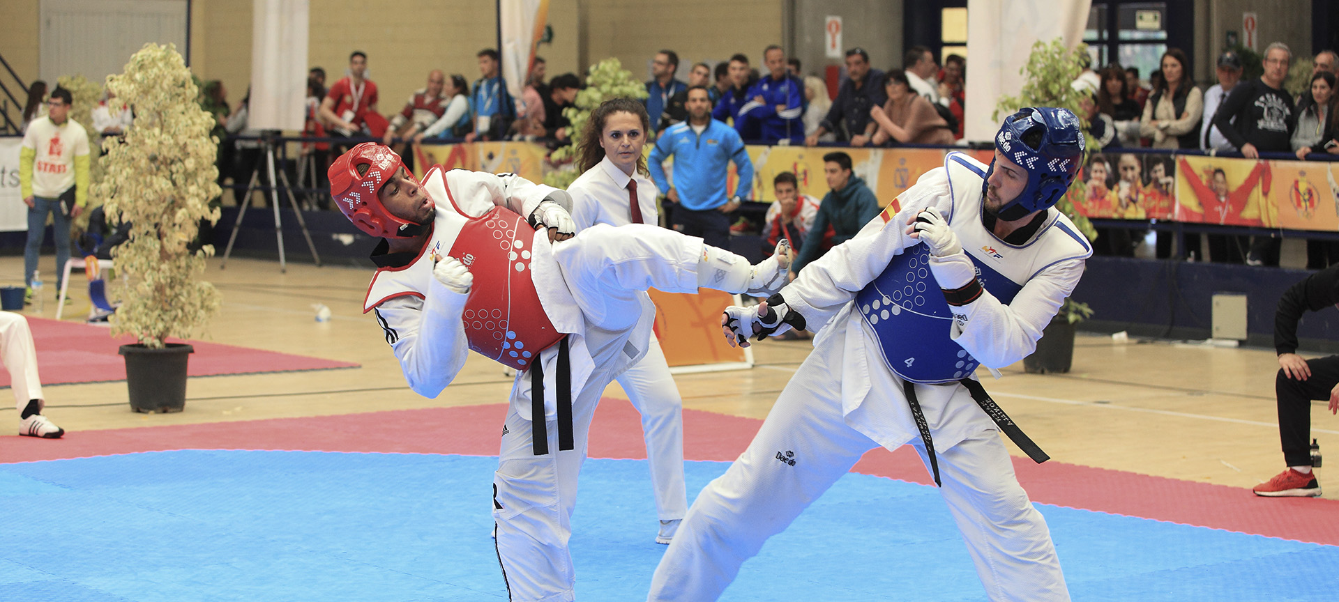 Taekwon-Do. Alicante