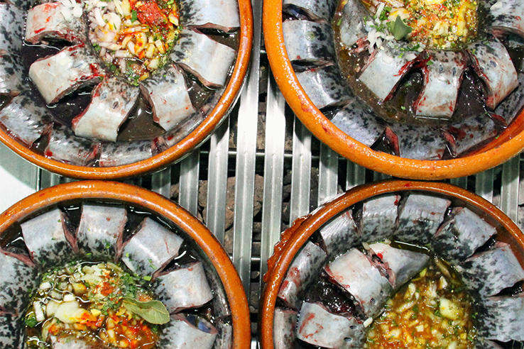 Tasting dishes at the Lamprey Festival in Arbo (Pontevedra, Galicia)