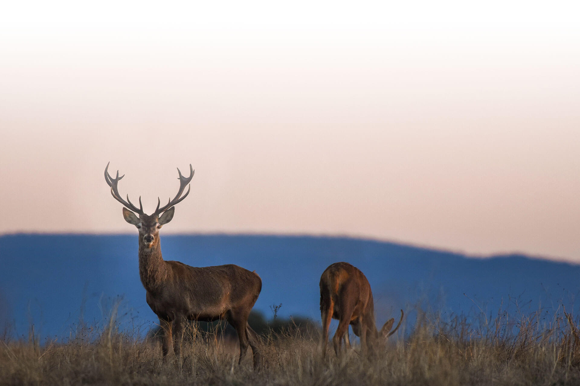  Cabañeros National Park