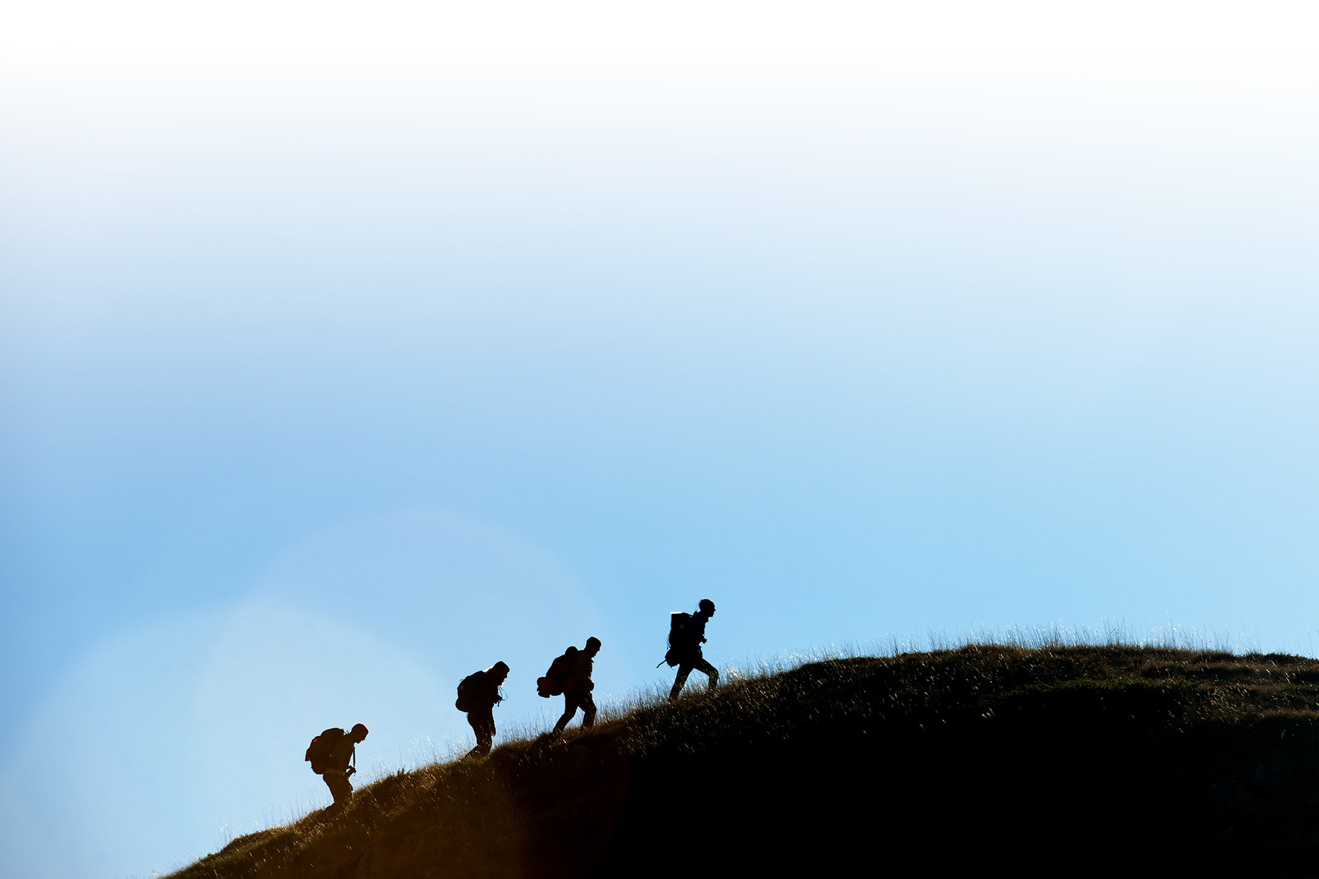 Wanderer