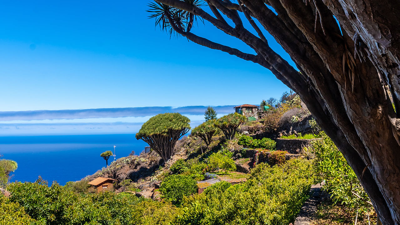  Sentier des Tricias à Garafía, île de La Palma