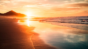 Coasts and beaches