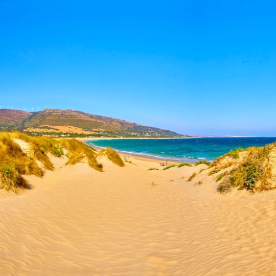 View of the Valdevaqueros dune, next to Punta Paloma Beach, Tarifa (Cadiz)