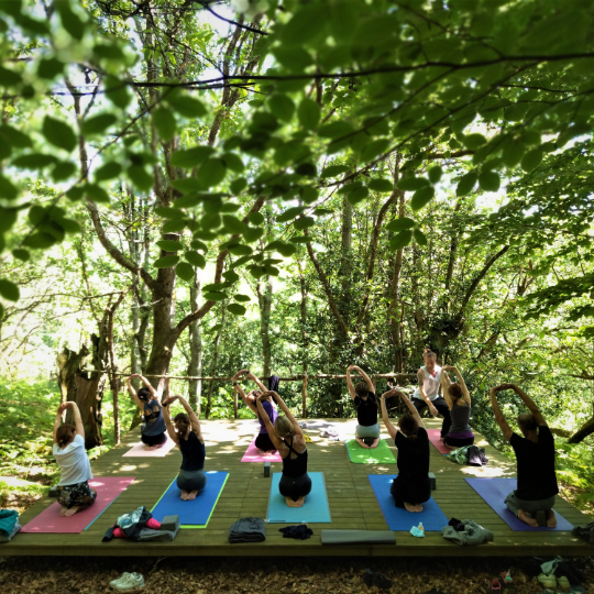 Gruppo di studenti che pratica yoga nel Bosco Nascosto a Cereceda, Asturie