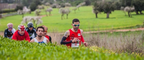 Półmaraton Sol w Magaluf © Rafa Babot. Zdjęcia udostępnione przez ICE Institut Calvianer d'Esports Półmaraton Sol w Magaluf © Rafa Babot. Zdjęcia udostępnione przez ICE Institut Calvianer d'Esports