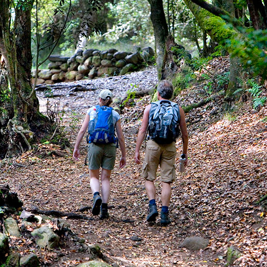 Trekking nel Bosco di El Cedro. Parco nazionale di Garajonay, La Gomera