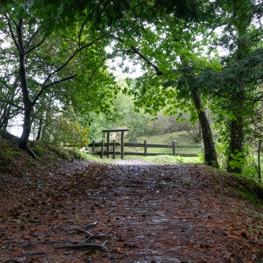Typische abwechslungsreiche Landschaft des Waldes von Cabezón, Kantabrien