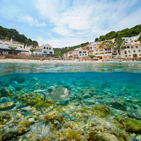 Vista da água da grande diversidade de espécies que podem ser observadas durante o mergulho com snorkel em Cala Sa Tuna em Begur, Gerona