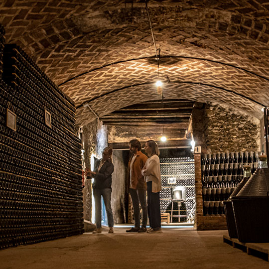 Winnica na Szlaku wina Penedès