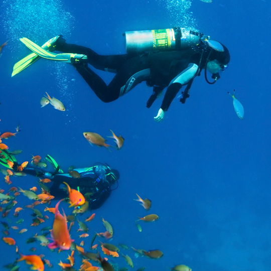 Diving
