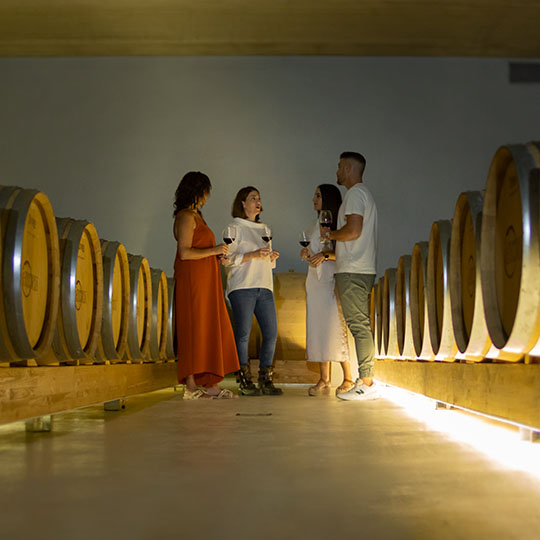 Touristes dans un vignoble de la route du vin de Bullas